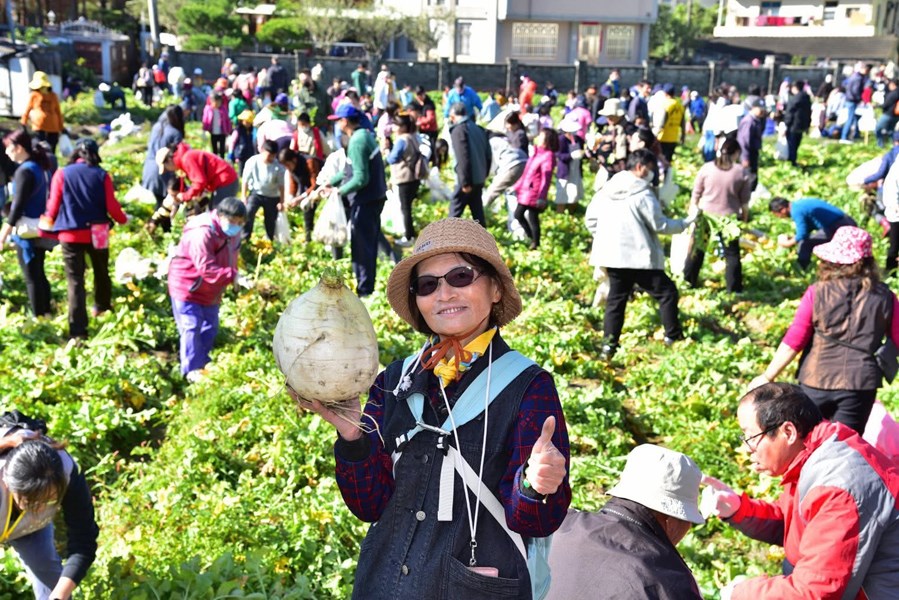 拔個大蘿蔔