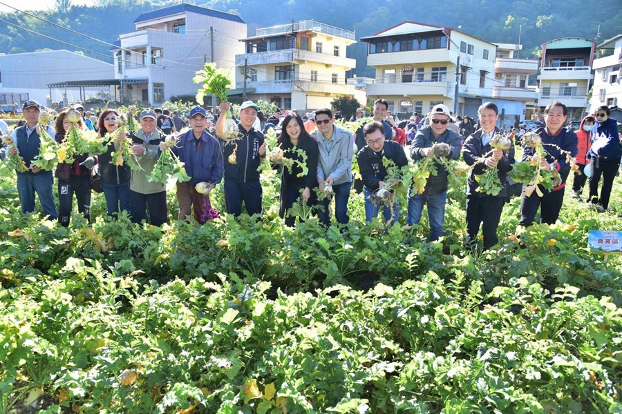 開心拔蘿蔔